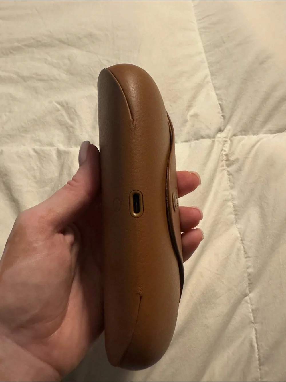 Ray-Ban Black Frames with Brown Case
